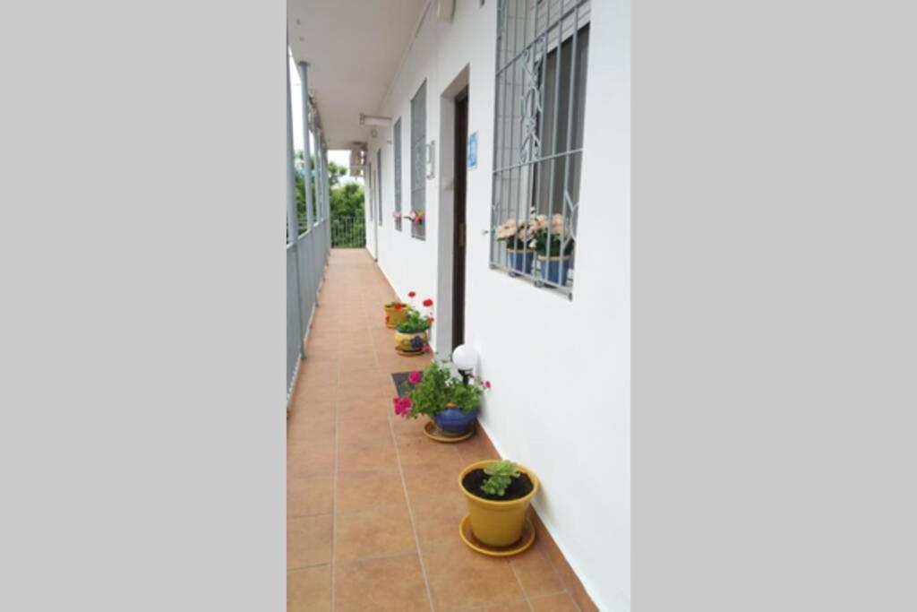 Apartamento Al-Zhara, Junto Puente Romano Apartment Cordoba Exterior photo